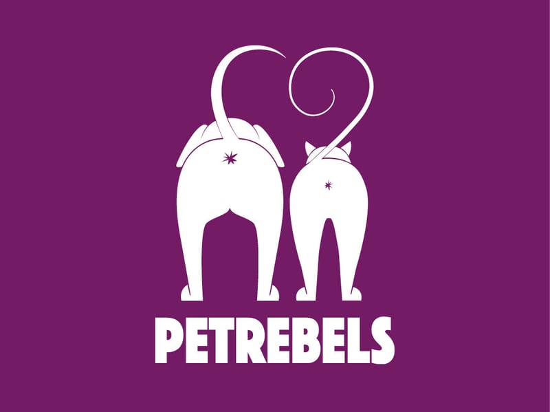 021525_Entwurf_Petrebels_NL_NewConcept_Header_new