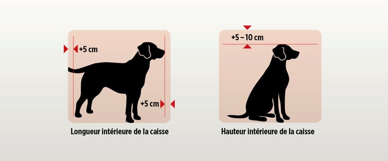 Masse-Box-fr-2