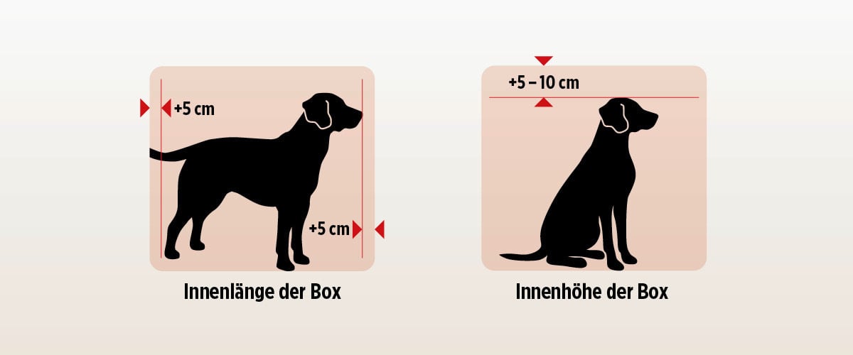 Masse-Box
