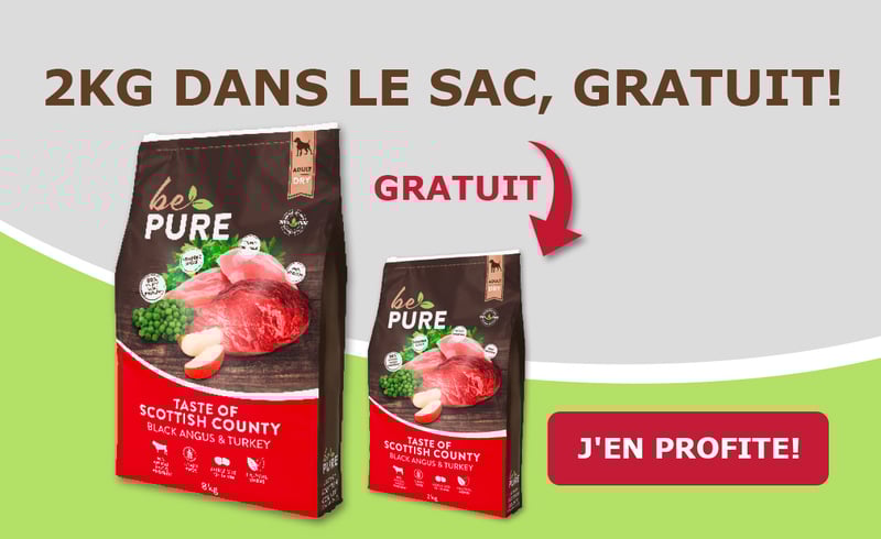 Taste_of_bePURE_Aktion_FR